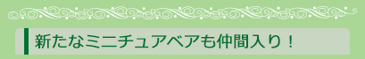 新たなミニチュアベアも仲間入り!