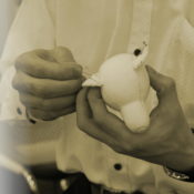 テディベア教室