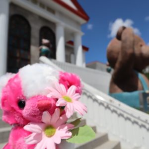 秋に咲くサクラ フラワーベア コスモス 蓼科テディベア美術館 世界最大規模を誇る11 000体のベアに会える